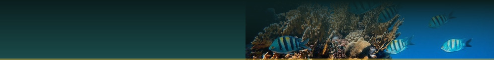 Affordable car hire in Finland - Car Hire Banner